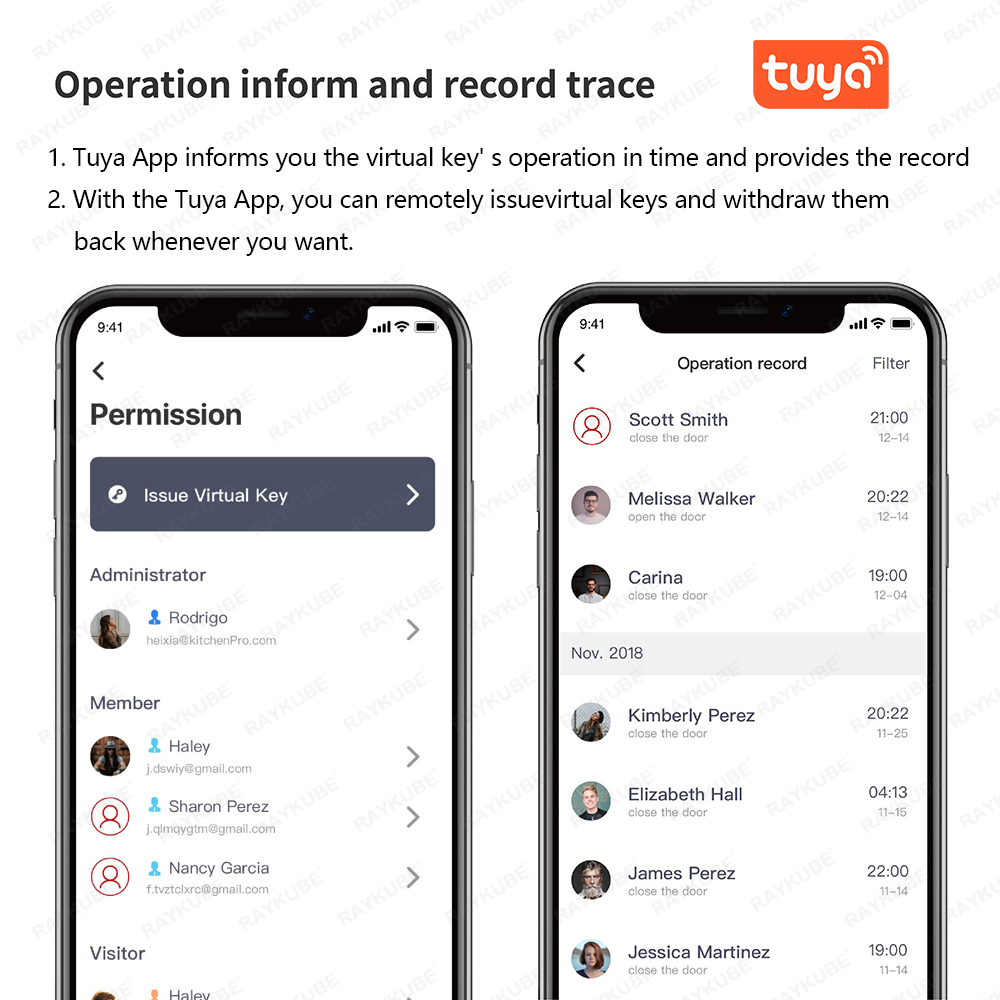 RAYKUBE A1 Pro Tuya BEL Набор  – обзор и цена Home Security Keypad